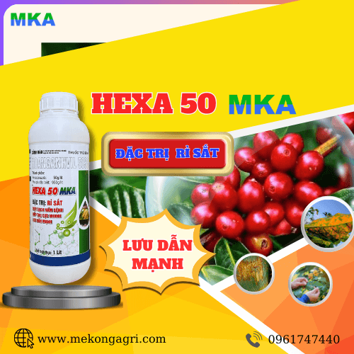 HEXA MKA 50SC - Đặt Trị Rỉ Sắt , Trừ Nấm Phổ Rộng