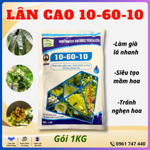 Phân bón lá Lân Cao MKA 10-60-10 - Siêu Tạo Mầm Hoa