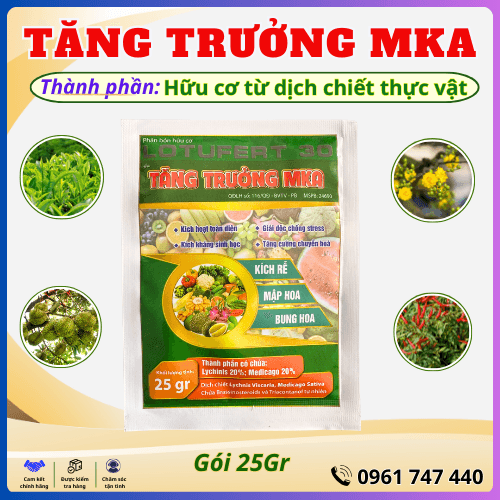 TĂNG TRƯỞNG MKA: Bí quyết cho khu vườn xanh tốt, trĩu quả