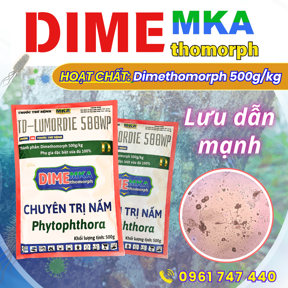 Dime MKA 500WP - Đặc Trị Nấm Bệnh Phytophthora Giải pháp tối ưu phòng trừ bệnh do nấm bệnh phổ rộng