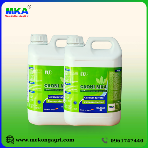 CAONI MKA – Giải pháp cải tạo đất, bổ sung Canxi và đạm nitrate nuôi hoa, trái hiệu quả